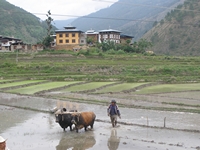 bhutan